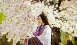 源氏物语动漫,宫廷权谋与爱恨交织的华丽画卷