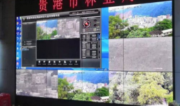 森林防火视频监控,实时守护绿色家园的科技防线