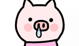 猪猪动漫,萌趣横生的奇幻世界之旅